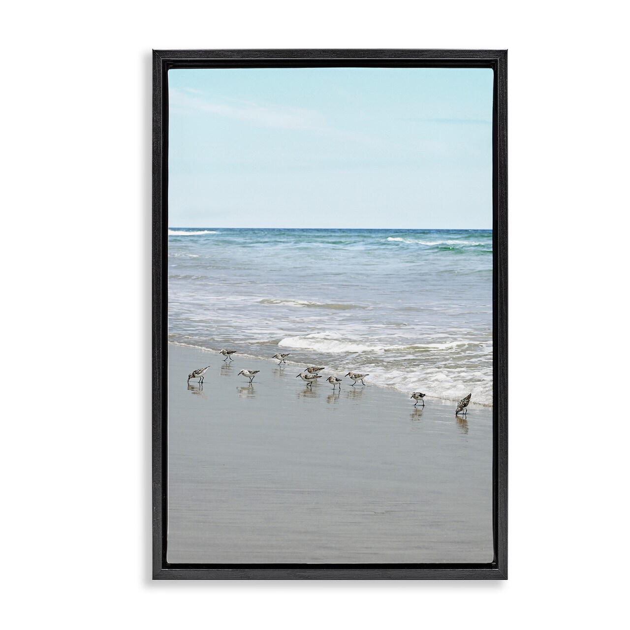 Stupell Industries Energetic Beach Birds Floater Framed Canvas Wall Art Design by Natalie Carpentieri